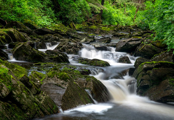 Fototapeta na wymiar long exposure, mini falls, in the forest