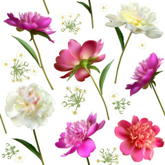 Peonies. Seamless pattern. Flowers. Floral background. Leaves. Petals. Pink.  White. Color.