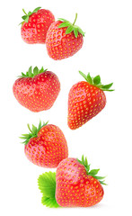 Obraz na płótnie Canvas Isolated strawberries. Flying whole strawberry fruits isolated on white background with clipping path