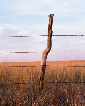 Fencepost With Barbed Wire At Dusk On The Kansas Prairie