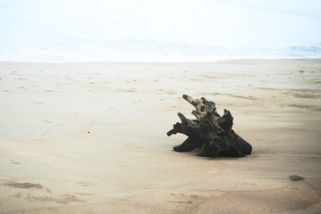 stone log on beach