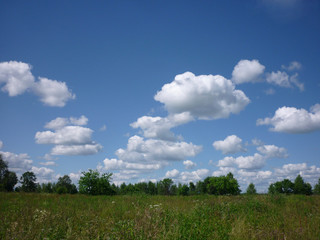 field of grass and beautiful sky. landscape. ready postcard.