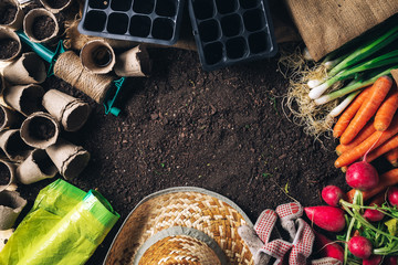 Organic homegrown produce and gardening equipment with copy space