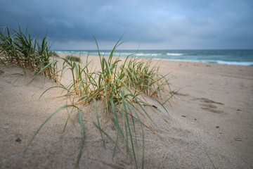 Sylt