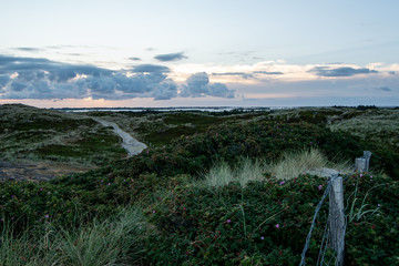 Sylt
