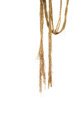 Rope on a white background