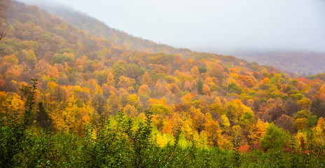 Autumn Scenery - Bennington, Vermont