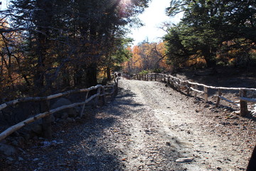 Camino entre montes