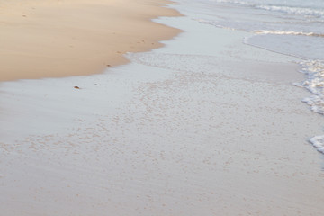 Wet sand on the beach shortly after it was washed over by a wave