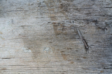 Old grey wood cut texture closeup