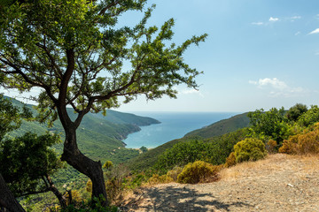 Beautiful panoramic view on the bay