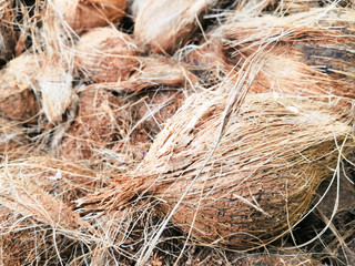 Beautiful Coconut In Market