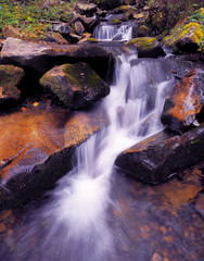 Fototapeta na wymiar waterfall at the carpathian forest