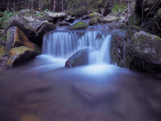 Obraz premium waterfall at the carpathian forest