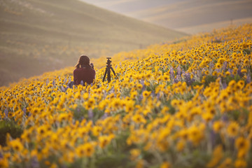 photographing wild flowers