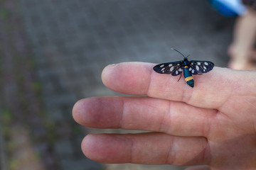 Fototapety na wymiar - Fototapeta24.pl
