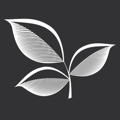 Vector illustrarion icon leaf