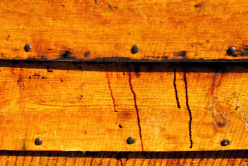 old wood skin wood texture wood Natural wood background natural