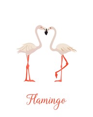 Obraz premium Two pink flamingo set. Exotic tropical bird. Decoration element. Flat design. White background. Vector illustration.