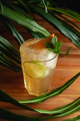 Party cocktail Lynchburg Lemonade, based on gin, orange liqueur, ginger, mint ginger tonic with ice, lime and sugar on a tropical summer leaves background