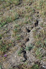 s&eacute;cheresse - terre ass&eacute;ch&eacute;e