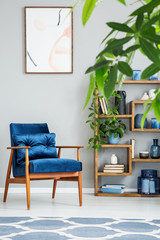 Navy blue armchair and plants in grey flat interior with patterned carpet and poster. Real photo
