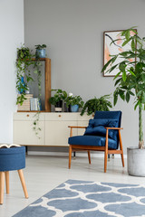 Patterned blue carpet and wooden armchair in grey room interior with plant and stool. Real photo
