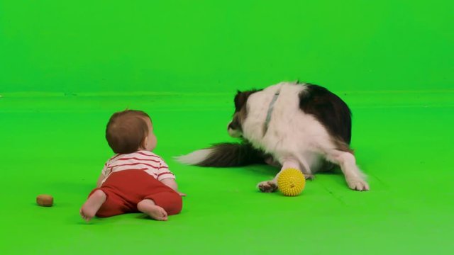 A dog plays catch with an adorable baby girl, throws her the ball, she goes for it and he stays alone, over a green screen. 
