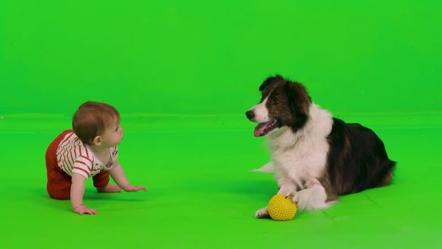 A dog guards a baby over a green screen.