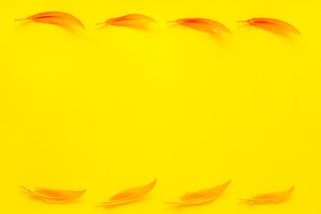 design for blog or desktop with colorful bird feathers on yellow background top view mockup frame