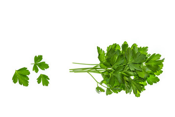 bunch of flat parsley leaves on white background with copy space above