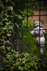 through a gate