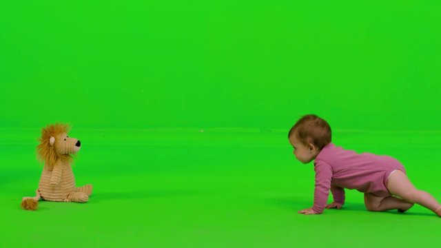 Cute baby girl crawling from side to side to her puppet, gets it, laughs and continues, over a green screen.