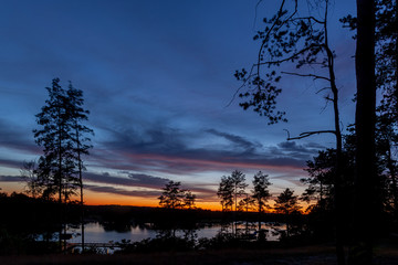 Piękny zachód słońca nad jeziorem Kalwa na Mazurach w Polsce., na pierwszym planie kontury drzew. - obrazy, fototapety, plakaty