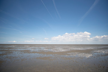 North Sea Coast Mudflat