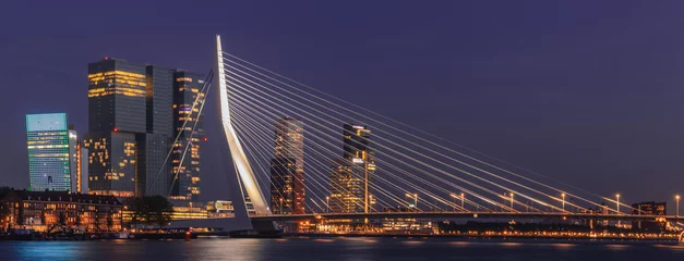 Wall murals Erasmus Bridge Night panoramic cityscape of Rotterdam, Netherlands. Erasmusbrug and business district skyscrapers in the background