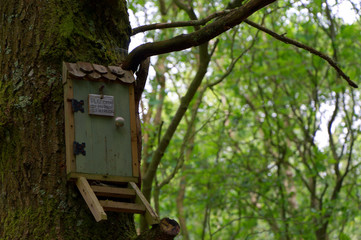 Owl's house Winnie the pooh Hartfield