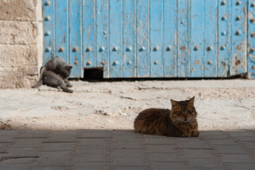 Essaouira, Morocco