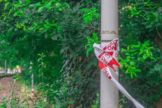 Processional caterpillar ribbon on lamppost