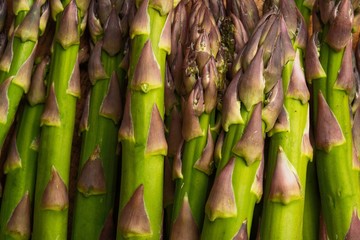 Texture of close-up asparagus. For posting cooking headlines. gastronomy diets and vegetarians