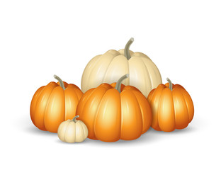 White and orange pumpkins - cartoon vector illustration isolated on white background
