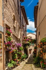 Fototapeta na wymiar A characteristic alley of the medieval village, with stone and brick houses, plants and flowers on the balconies. In Spello, province of Perugia, Umbria, Italy.
