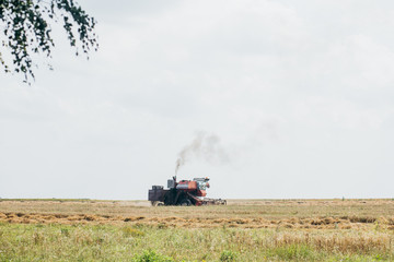 Combain collecting harvest on the field