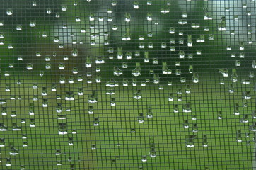 gotas