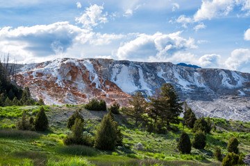 Mammoth Hot Springs, Yellowstone National Park