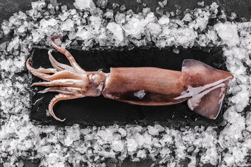 Fresh raw whole squid on ice over dark stone background. Seafood, top view, flat lay, copy space