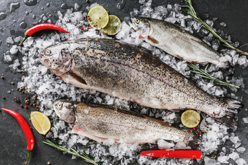 Fresh raw trout fishes with spices, lemon, pepper, rosemary on ice over dark stone background. Creative layout made of fish, top view, flat lay
