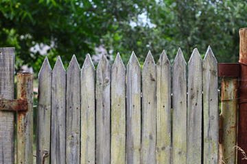 Fototapeta premium Old wooden picket gate with peeled paint