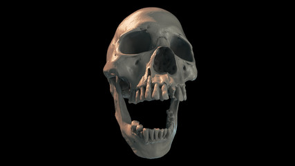 Human skull on Rich Colors a Black Background. The concept of death, horror. A symbol of spooky Halloween. October 31, Сoven, holiday, Graphic resources. 3d rendering illustration. 