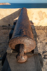 old rusty cannon